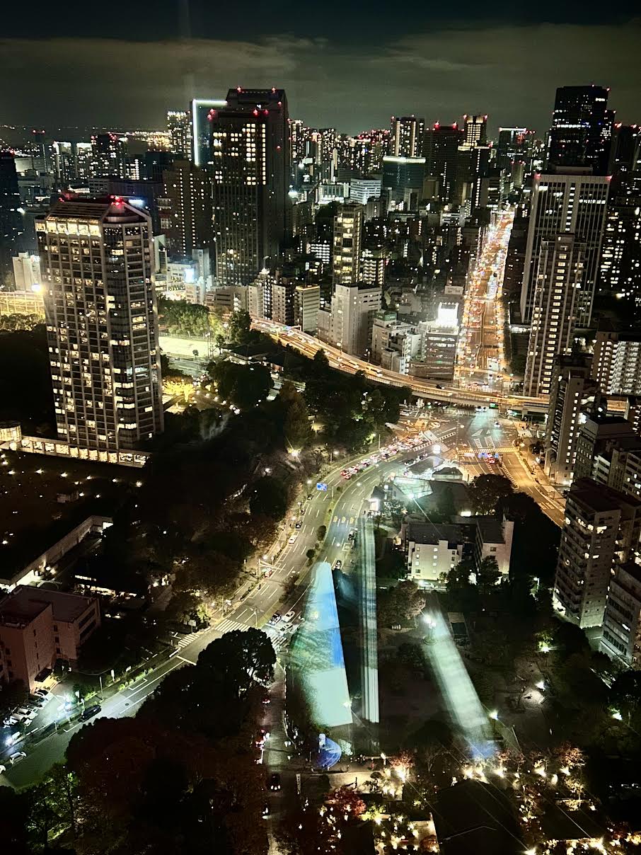 東京タワーから絶景ナイトビュー