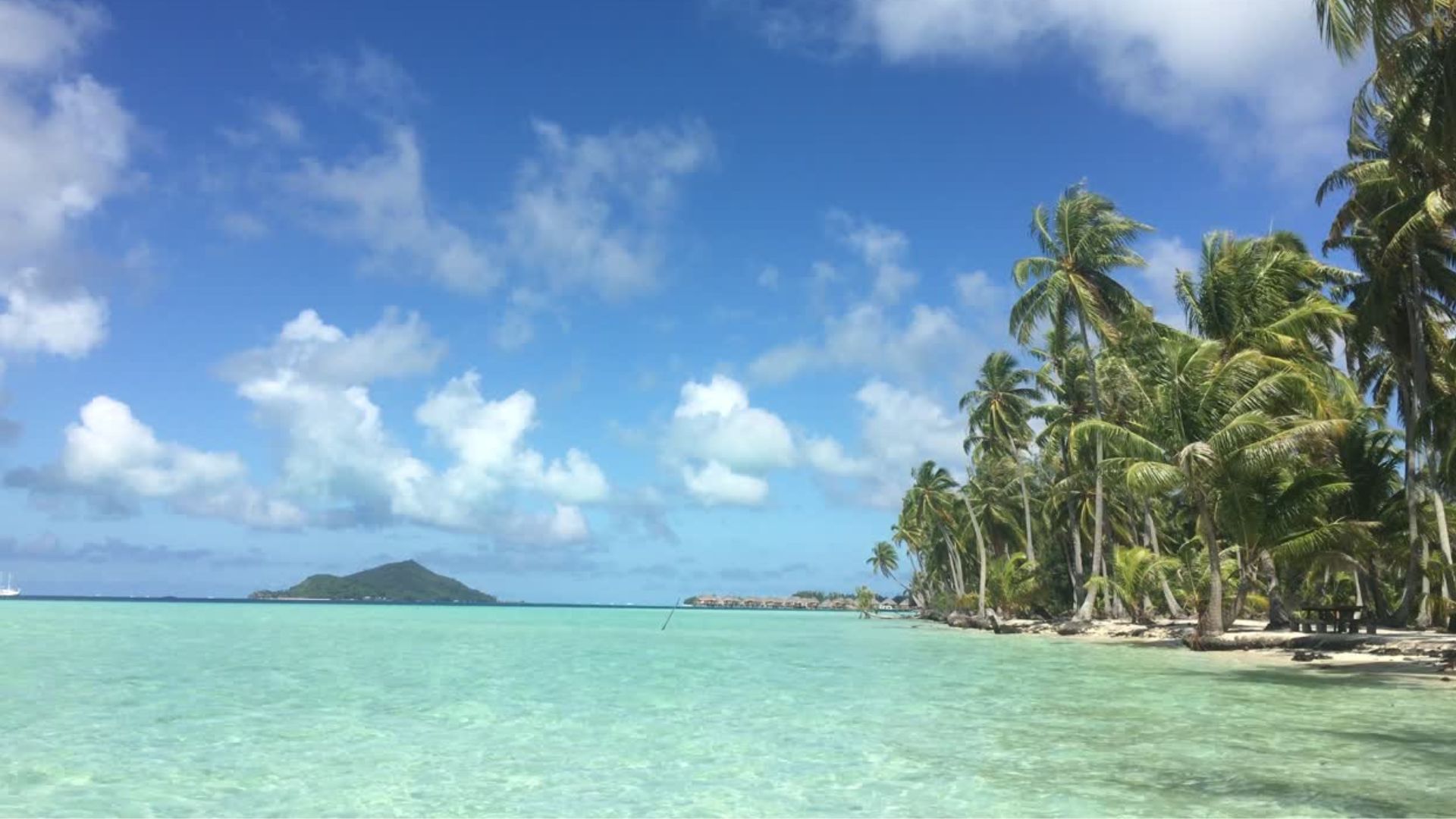 Travel background